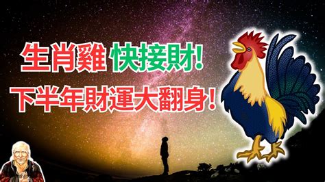 屬雞下半年運勢|2024下半年走大運！4生肖運勢崛起 屬雞「事業起飛黃金期」更幸福